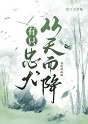有只忠犬从天而降