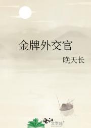 金牌外交官