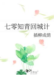七零知青回城计划