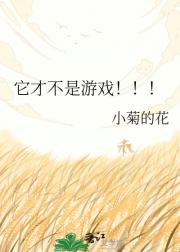 它才不是游戏！！！