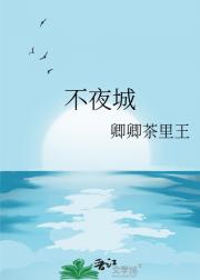【诺俊】不夜城
