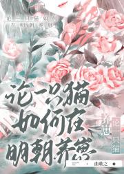 论一只猫如何在明朝养崽
