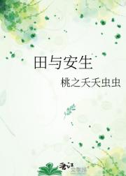 田与安生