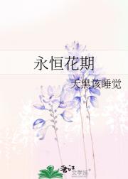 永恒花期