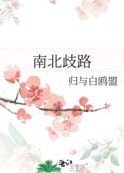 南北歧路