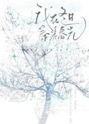 我在冬日豢养春光