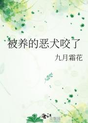 被养的恶犬咬了