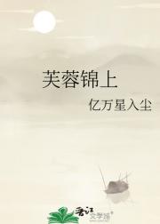 芙蓉锦上
