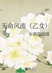 天命风流（乙女）