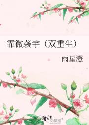 霏微袭宇（双重生）