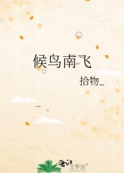 候鸟南飞