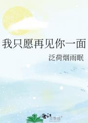 我只愿再见你一面