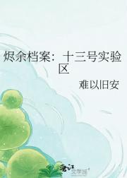 烬余档案：十三号实验区