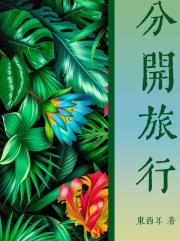 分开旅行