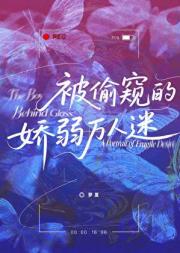 被偷窥的娇弱万人迷