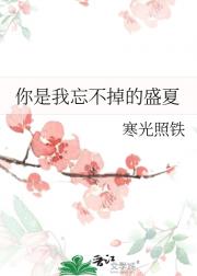 你是我忘不掉的盛夏