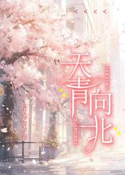 天青向北