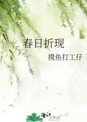 春日折现