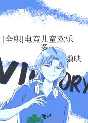 [全职]烁光流金