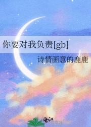 你要对我负责[gb]