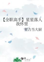 【全职高手】星星落入我怀里