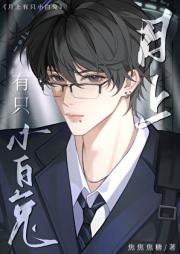 月上有只小白兔
