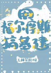 用福尔摩斯搞基建