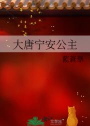 大唐宁安公主