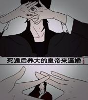 选秀假太监真皇族
