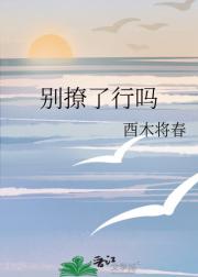 别撩了行吗