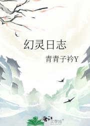 幻灵日志