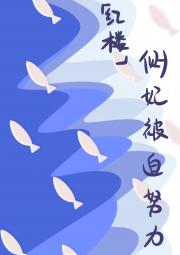 [红楼]侧妃被迫努力