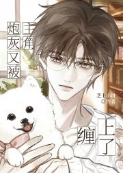 炮灰又被主角缠上了[快穿]