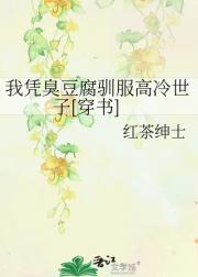 我凭臭豆腐驯服高冷世子[穿书]