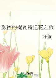 颜控的提瓦特送花之旅