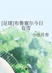 [足球]布鲁塞尔今日有雪