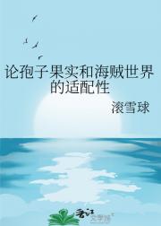 论孢子果实和海贼世界的适配性