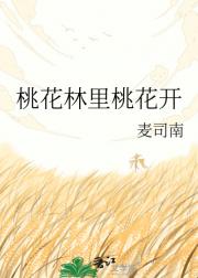 桃花林里桃花开