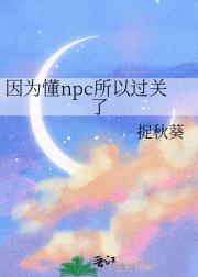 因为懂npc所以过关了