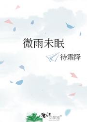 微雨未眠