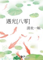 遇光[八零]