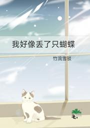 蝴蝶效应
