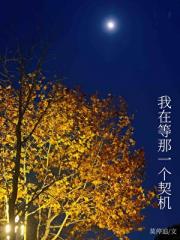 我在等，等那一个契机