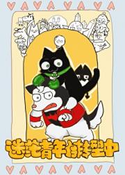 [综英美]赛博回声恋人