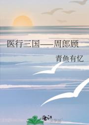 医行三国——周郎顾