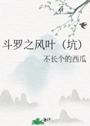 斗罗之风叶