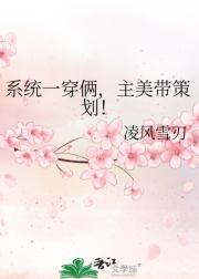 系统一穿俩，主美带策划！