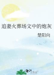 追妻火葬场文中的炮灰