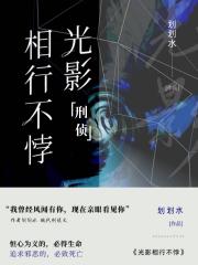 刑侦:光影相行不悖