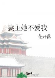 妻主她不爱我